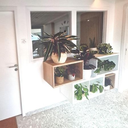Moderne F3 - 10 Min Aeroport Cdg - Paris - Parc Asterix - Disneyland Paris - Tour Eiffel - Champs Elysee - 15 Min Parc Des Expositions Villepinte - 10 Min Le Bourget - 5 Min Du Golf International De Roissy- Jo 2024 Le Thillay Eksteriør bilde